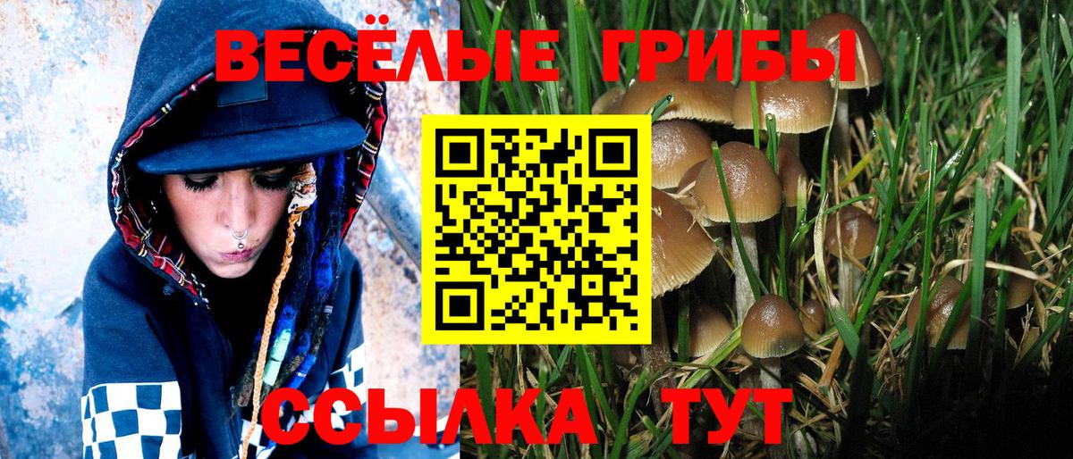 Псилоцибиновые грибы GOLDEN TEACHER  Вход с VPN  где купить   Ахтубинск  Галлюциногенные грибы ЛСД 