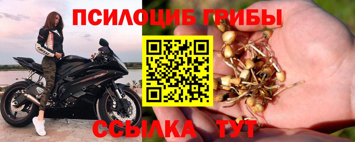 Галлюциногенные грибы MAGIC MUSHROOMS Ахтубинск